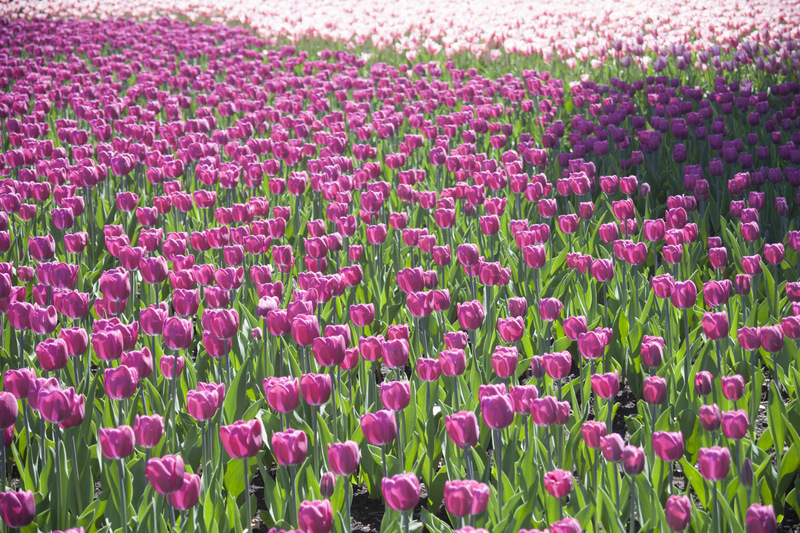 建设银行支持以卡办卡吗?_信用卡知识_贷款攻