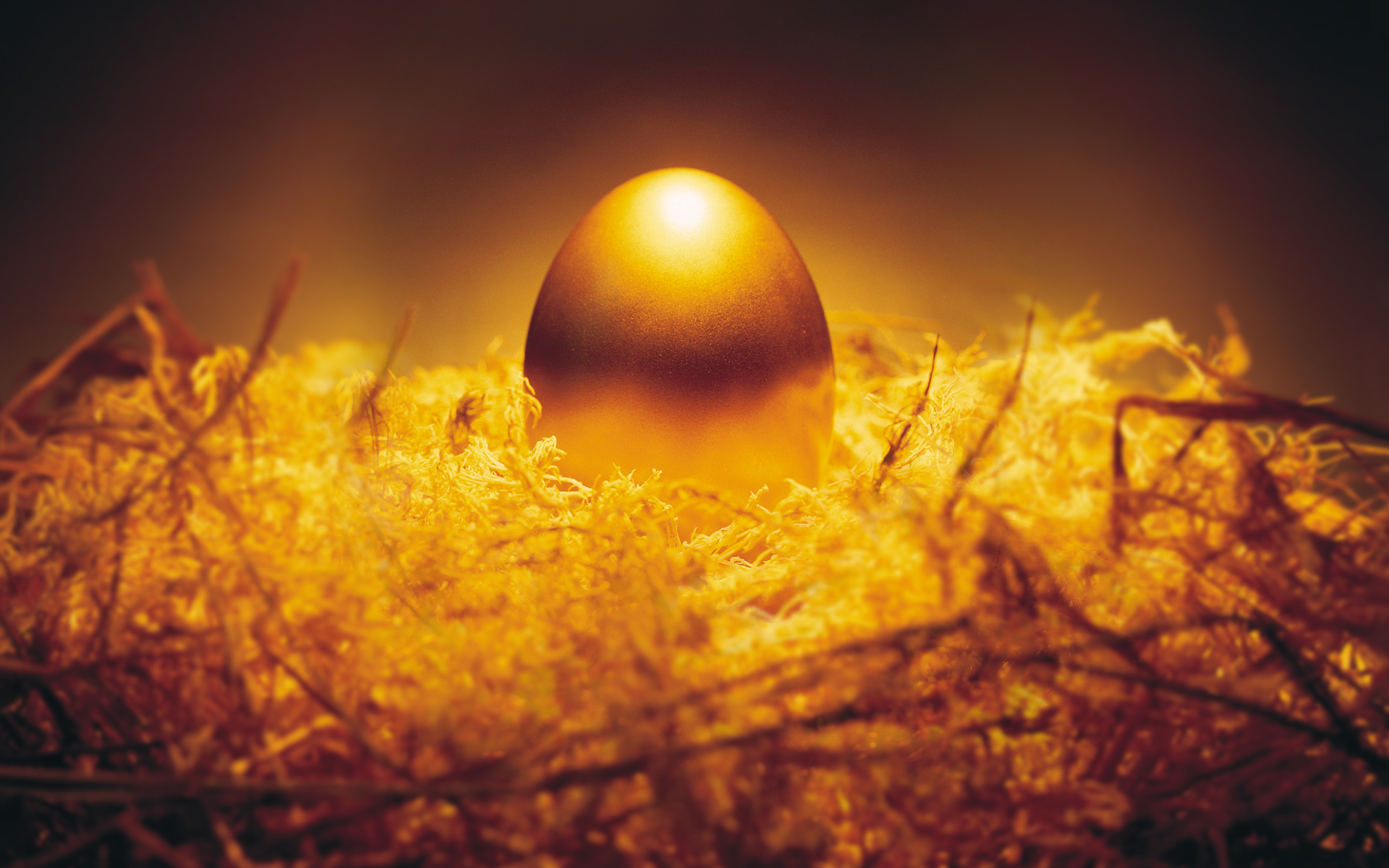 金蛋理财安全吗?怎么样?__理财频道 - 融360