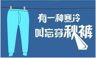 京东推"忘穿秋裤险" 感冒,冻伤都能赔