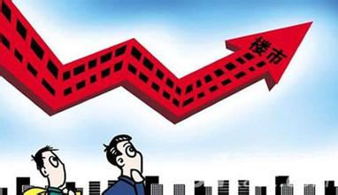 财政收入_地方财政收入占gdp(2)