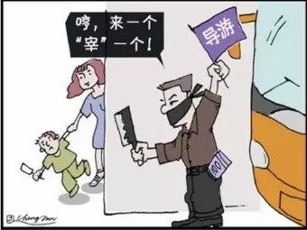 导游资格证_导游一年收入(2)