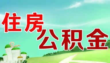 收入证明_合法的收入证明(3)